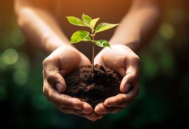 G20: Bioeconomia constitui uma alternativa para a especialização inteligente dos territórios