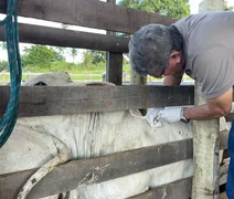 Criador de gado recebe assistência técnica em parceria com prefeitura de Penedo