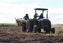 Usina Pindorama vai entrar em operação mais cedo na safra 19/20