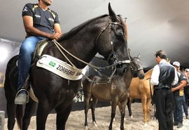 4ª edição do Leilão Vale Rico fatura R$ 4,3 milhões