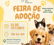 Feira de adoção reúne cães e gatos neste sábado no Maceió Shopping