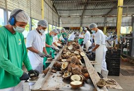 Chamada pública prioriza associações e cooperativas de comunidades tradicionais em AL