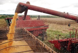Produção de grãos deve alcançar 235,3 milhões de toneladas, diz Conab