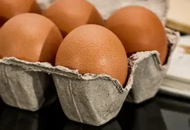 Estagnação no consumo no mercado de ovos impôs nova baixa aos produtores