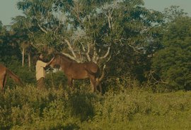 Cantor alagoano lança videoclipe inspirado em memória afetiva