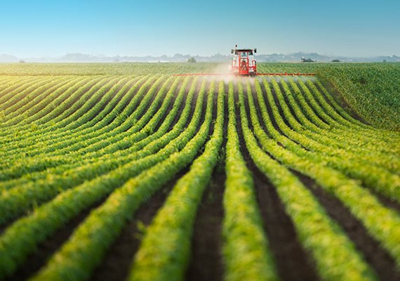 Projeto transforma vida dos produtores rurais de Alagoas