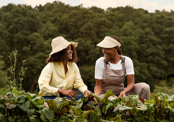 Seduc abre nova chamada pública para compra de alimentos da agricultura familiar