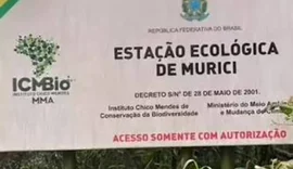 Homem é condenado por caça ilegal em área de conservação em Murici