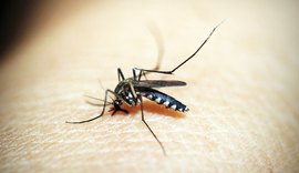 Casos de dengue disparam em Maceió e Alagoas; saiba onde procurar atendimento médico