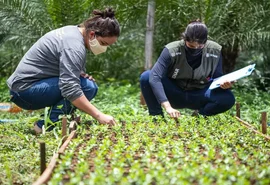 Mais de 21 mil alagoanos foram beneficiados pelo Senar/AL em 2022