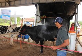 Super Torneio Leiteiro vai consagrar  os melhores da agricultura familiar