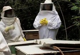 Palateia: Usina Caeté faz doação para projeto de apicultura