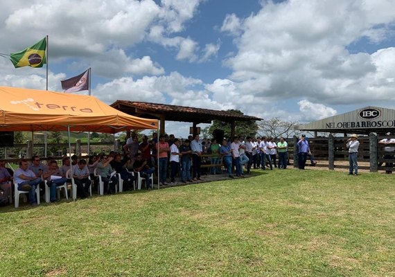 Lotes do Leilão Nelore Barros Correia são aprovados por criadores