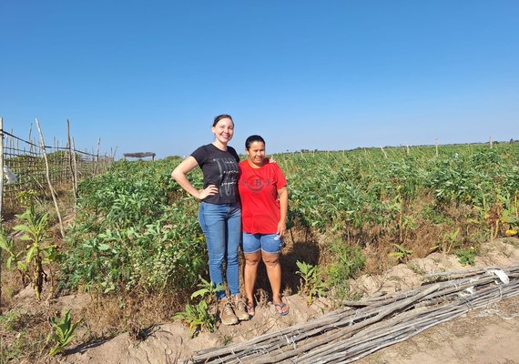 Unicafes-AL inicia nova fase de estruturação do Projeto Quintais Produtivos