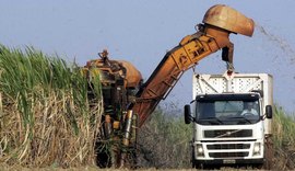 Ministros da Agricultura do G-20 criticam protecionismo