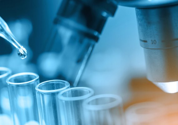 Vital Brazil e UFRJ testam soro para tratar covid-19
