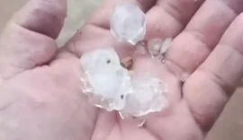 Granizo cai em interior de AL e surpreende zona rural