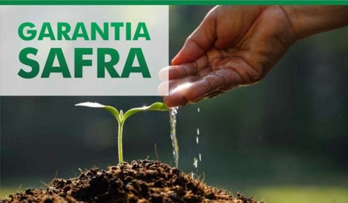 Agricultor pode fazer consulta online do Programa Garantia-Safra