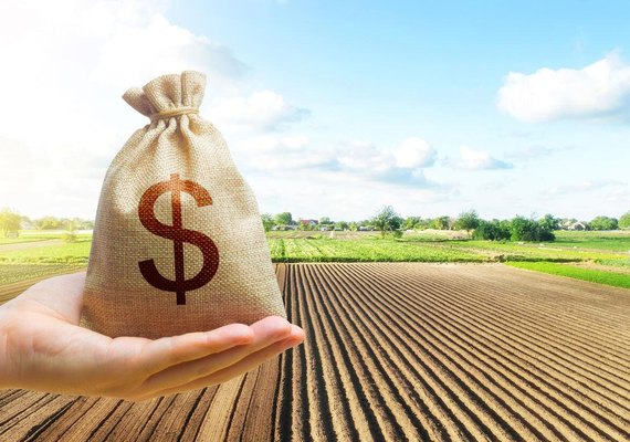 BNDES apresenta medidas de fortalecimento para o agro nesta sexta