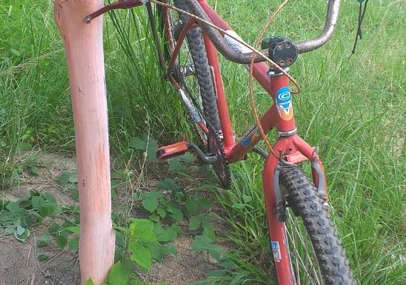 Ciclista morre ao ser atingido por carga que se soltou de caminhonete
