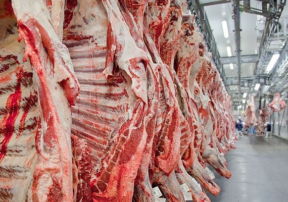 Exportações de carne do Brasil devem crescer 8,8%