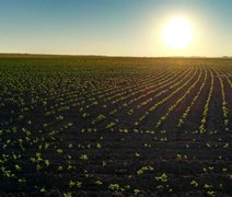 CNA apresenta oportunidades para o agro ampliar negócios no mercado internacional