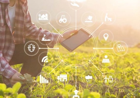 Siraf/NE: plataforma está on-line e ajuda agricultor familiar na divulgação e venda de seus produtos