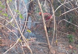 Incêndio na Chapada dos Veadeiros é extinto após cerca de duas semanas