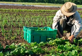 Mudanças climáticas: o desafio da resiliência no cooperativismo agro