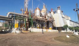 Quatro usinas já finalizaram a safra em Alagoas