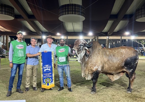 Julgamentos da Expoagro-AL reforçam protagonismo do estado na genética animal do Nordeste