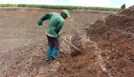 Chuva ajuda no plantio de cana em áreas de encostas