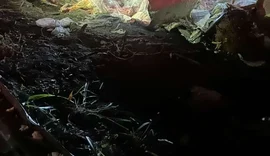 Motorista fica ferido após carreta com carne capotar na BR-101