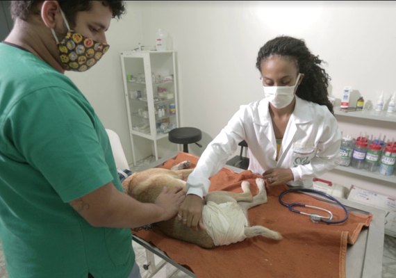 Braskem e UFAL vão desenvolver programa de cuidado de animais nos bairros de Maceió