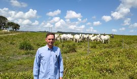 Nelore Positivo chega à 21ª edição com oferta de peso e genética testada a campo