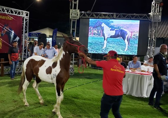 Expoagro/AL celebra 70 anos promovendo  o crescimento da pecuária