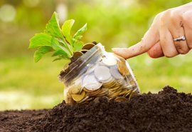 Valor bruto da Produção Agropecuária é de R$ 600 bilhões