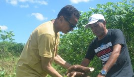Vereador Dr. Valmir Gomes e Emater planejam executar projeto de agricultura familiar em Fernão Velho