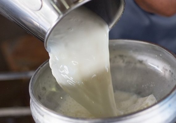 Audiência pública vai discutir a cadeia do leite no sertão de Alagoas