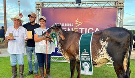 Expoalagoas Genética receberá etapa regional da Mega Leite