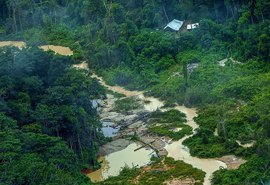 Greenpeace Brasil encontra 176 escavadeiras em terras Yanomami