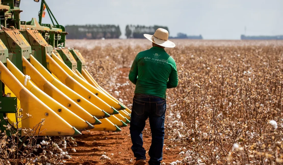 A real lógica do Agronegócio Brasileiro