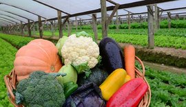 El Niño muda cenário da horticultura brasileira em 2026