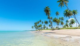 Praia do Patacho: paraíso sustentável de Alagoas que possui selo Bandeira Azul