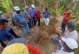 Alagoas: Branquinha realiza ação para fortalecer cultivo e produção de banana