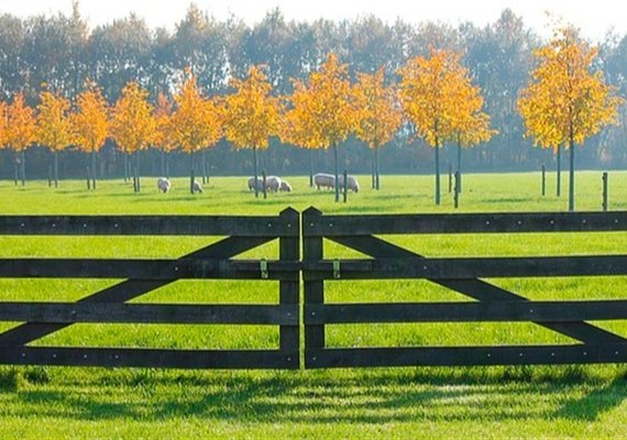 Emissões de Cédulas de Produto Rural na safra atual cresceram 68% até fevereiro
