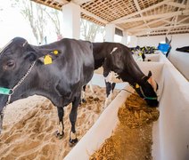TecLeite marca pioneirismo de Alagoas na Expo Bacia Leiteira do Nordeste