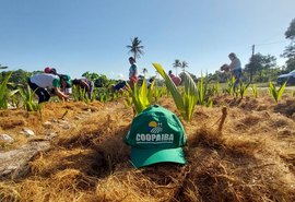 Coopaiba  promove Dia de Campo voltado para cultura do coco