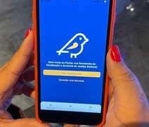 Aplicativo Pardal ainda não recebeu denúncias no 2º turno em Alagoas