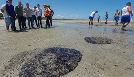 GTA lança nota sobre situação do óleo nas praias de Alagoas